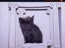 HEAVENLY DECLINE & FALL OF HEAVENLY NEW LP