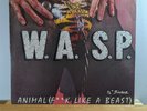 W.A.S.P. - Animal (F**K Like A Beast) - 1984 Canadian Pressing - 12