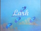 Linda Lewis - Lark - LP