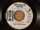 The Other Half  What Can I Do For You/Bad Day  Promo  Garage, Psych  1968 Acta
