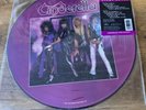 Cinderella Vinyl   Night Songs Limited Edition Picture Disc  RARE  US Import