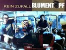 Blumentopf - Kein Zufall GER 2LP 1997 (VG-/VG-) SELTEN ´