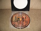 S.A. Slayer Prepare To Die PICTURE LP unoficial