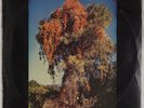 WE ALL TOGETHER: ’72 Peru Mag Psych Rock OG Vinyl LP Hear