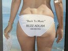 Buzz Adlam Back To Music CHEESECAKE SEXY COVER Jazz Woman Private Press
