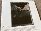 Surfer Rosa by Pixies (Record, 2004)
