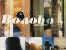 Bonobo - Animal Magic (Vinyl 2LP - 2001 - UK - Reissue)