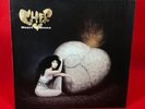 CHER Heart Of Stone 1989 German Vinyl LP + INNER If I Could Turn Back Time