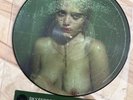 Sky Ferreira Night Time, My Time PICTURE DISC Vinyl RSD 2013 - very Rare