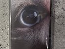 Roger Waters Dark Side Of The Moon Redux Gold Cassette. Limited Edition. Sealed