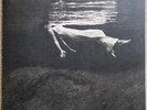 Undercurrent, Bill Evans and Jim Hall, Jackpot reissue 2023, EX/EX