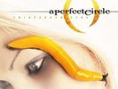 A Perfect Circle: Thirteenth Step (2LP)  LP vinyl *SEALED*