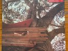 The Backseat Lovers Waiting to Spill Anniversary Edition Signed Red Vinyl LP New