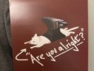 Lovejoy Pebble Brain/Are You Alright Vinyl