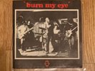 Radio Birdman Burn My Eye 7