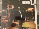 Big L - Lifestyles Ov Da Poor & Dangerous 2X Vinyl LP Hip Hop