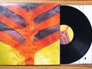 Yeah Yeah Yeahs – Show Your Bones. Vinyl Record. Used. 1st Press.