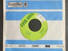 VERY RARE 45 RPM ROCKABILLY LARRY HALL SANDY / LOVIN' TREE EVER GREEN RECORDS