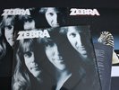 Zebra Self Titled 1983 Vinyl LP Atlantic in Shrink + Two 12 x 12 Poster Flats