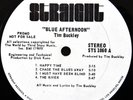 Folk-Psych 1969 PROMO LP Tim Buckley Blue Afternoon Beautiful VG+