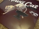 “anvil cat” lovejoy acoustic vinyl