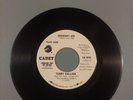 DJ copy  Terry Callier - ORDINARY JOE / GOLDEN CIRCLE OF YOUR LOVE (white label)