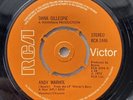 David Bowie Related DANA GILLESPIE- Andy Warhol Vinyl Single