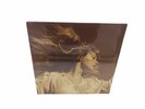 Taylor Swift - Fearless (Taylor's Version) 3xLP Gold Vinyl Record - NEW & SEALED