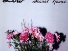 Low - Secret Name - 2 Vinili