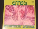 GTO'S (GIRLS TOGETHER OUTRAGEOUSLY) - Permanent Damage. 1969 Vinyl LP W/Booklet