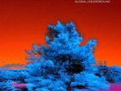 Various - Global Underground:Afterhours 9 2LP NEU OVP