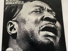 Muddy Waters- McKinley Morganfield A.K.A. Muddy Waters-2LPs. Chess. VG+