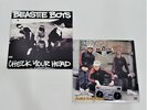 Beastie Boys Check Your Head 2009 Reissue & Solid Gold Hits 2 LP Vinyl Records