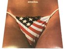 The Black Crowes – Amorica 180G VINYL 2LP with Insert B0018988-01 American