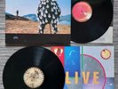 PINK FLOYD / DELICATE SOUND OF THUNDER - 2LP (firs press Italy 1988)
