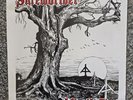 Screw driver After The Fire Vinyl Record Lp