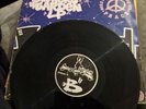 (76) Sonz Of A Loop Da Loop Era ‎– Flowers In My Garden LP 12