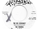 THE TRONICS Big Scroungy on Landa surf fuzz garage tittyshaker PROMO 45 HEAR