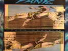Widespread Panic LP Space Wrangler LANDSLIDE Original 1988 First Pressing WSMFP