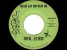 TEXMEX/DOOWOP-ROYAL JESTERS-PLEASE SAY YOU WANT ME/WQHAT'CHA GONNA DO 'BOUT IT