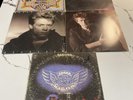 Log Of 5 Classic Rock Vinyl Records Lynyrd Skynyrd Brian Adams Stevie Nicks