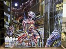 Iron Maiden “ Somewhere In Time “ LP  2014
