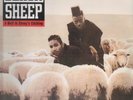 Black Sheep A Wolf In Sheeps Clothing NEAR MINT Mercury Vinyl LP