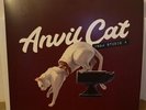 Anvil Cat From Studio 4 Acoustic Lovejoy Vinyl