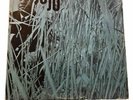 Wayne Shorter JuJu Blue Note Blue Note Elvin Jones McCoy Tyner  Sonny Clark Jazz