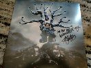 Ashnikko - Weedkiller signed with lyrics on alt cover, ECO coloured vinyl