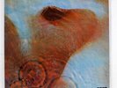 PINK FLOYD MEDDLE TOSHIBA EMS80322 JAPAN VINYL LP