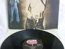 Chinga Chavin's Country Porn - Vinyl LP - CP-666 - Country Porn Records 1976
