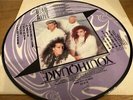 LP Dead Or Alive   Youthquake   High Energy   Synth Pop Disco  Picture board
