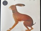 Vashti Bunyan ‎– Lookaftering -  Vinyl, LP, Album, Gatefold sleeve -  FatCat Rec